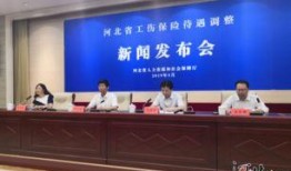 河北省保险新闻最新爆料,揭秘行业热点与监管新规